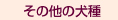 ¤½¤Î¾¤Î¸¤¼ï