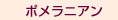 ¥Ý¥á¥é¥Ë¥¢¥ó