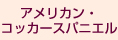 ¥¢¥á¥ê¥«¥ó¡¦¥³¥Ã¥«¡¼¥¹¥Ñ¥Ë¥¨¥ë